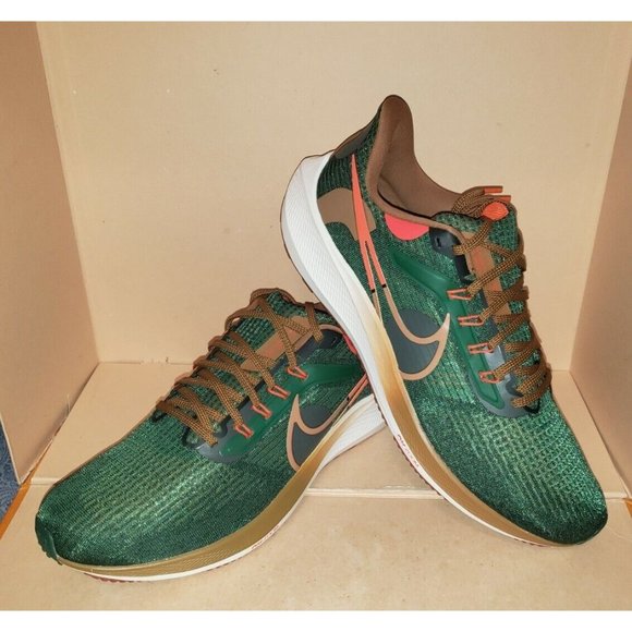 NIKE AIR ZOOM PEGASUS 39 A.I.R. HOLA LOU MEN\'S Size 13 NWOB main image 16